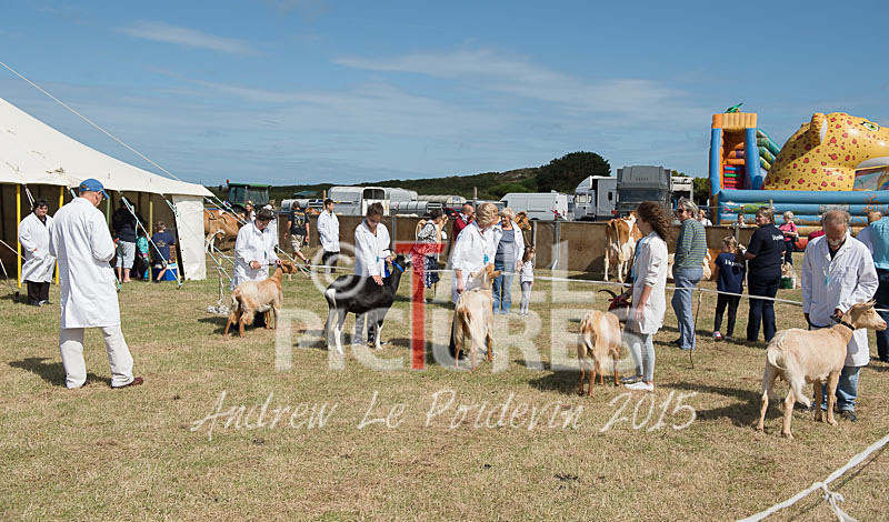 West Show_2014-19 - THE WEST SHOW 2014