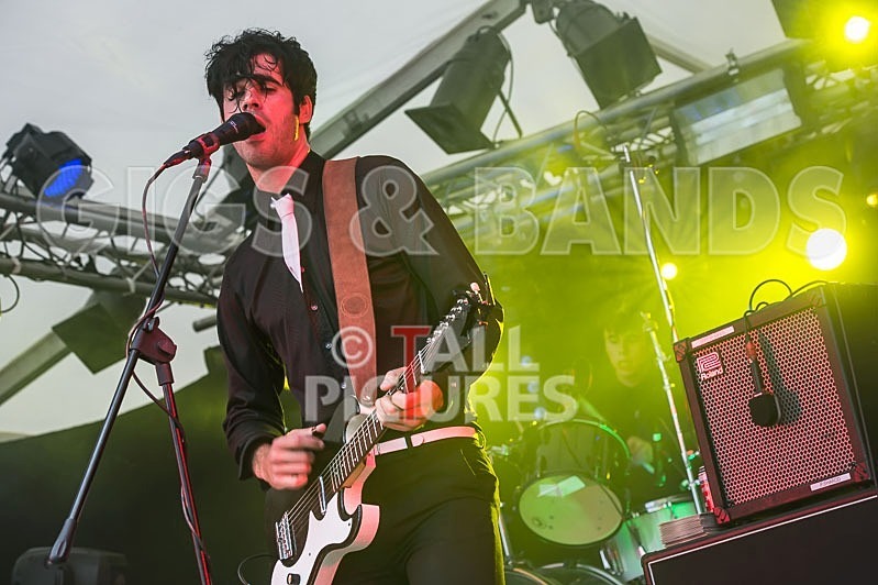 Surfin Birds-12 - THE SURFIN' BIRDS