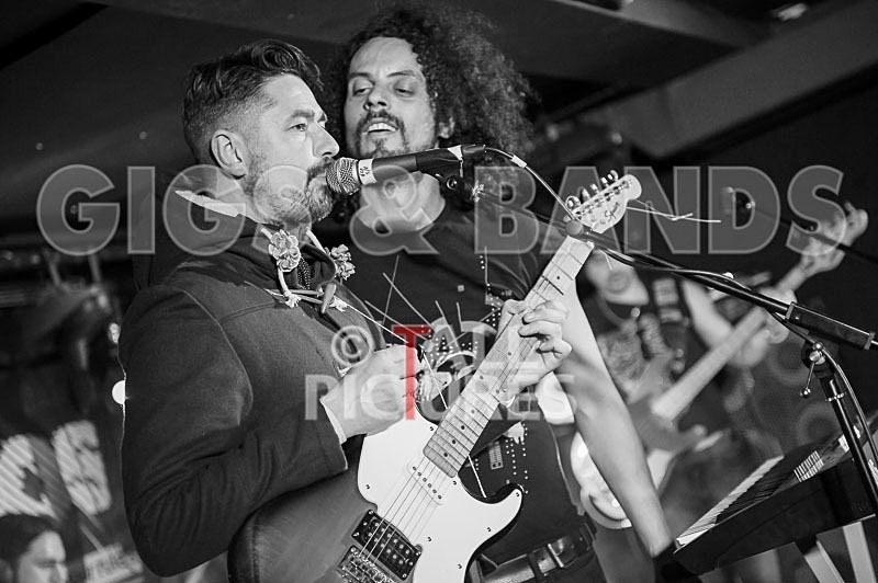 Harlequin Knights-50 - HARLEQUIN KNIGHTS