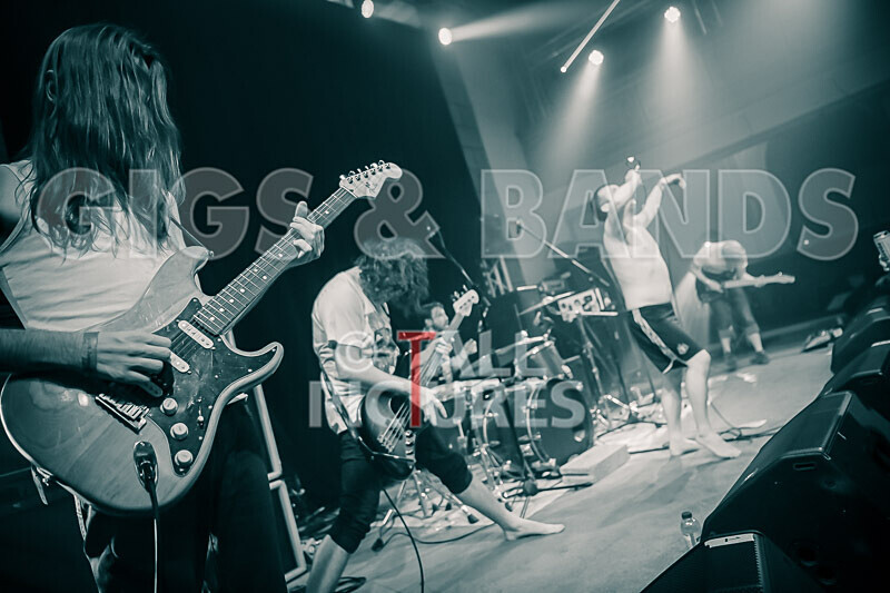 Pigsx7-62 - PIGS PIGS PIGS PIGS PIGS PIGS PIGS