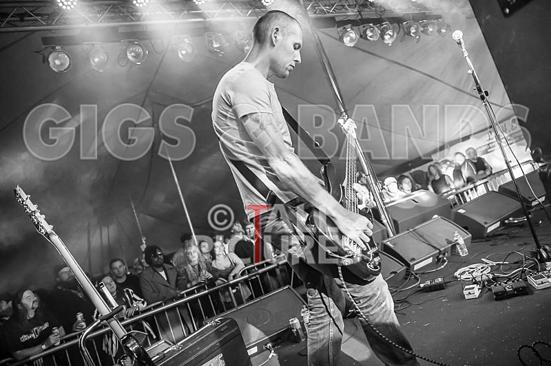 Falenizza Horsepower-87 - FALENIZZA HORSEPOWER