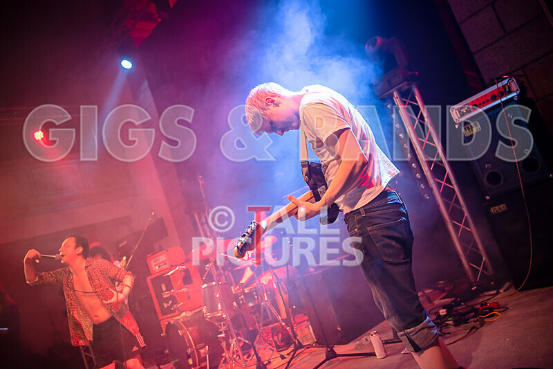 Pigsx7-6 - PIGS PIGS PIGS PIGS PIGS PIGS PIGS