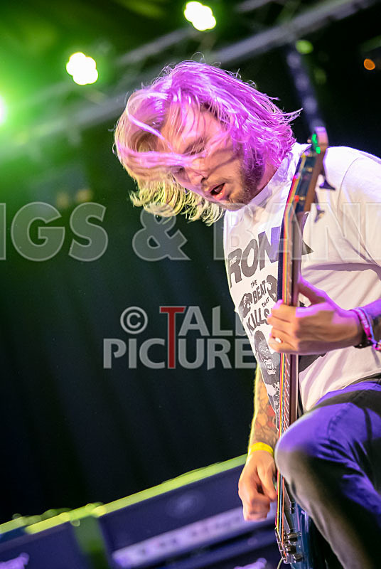 Granite Wolf-56 - GRANITE WOLF