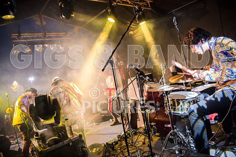 Surfin Birds-40 - SURFIN' BIRDS