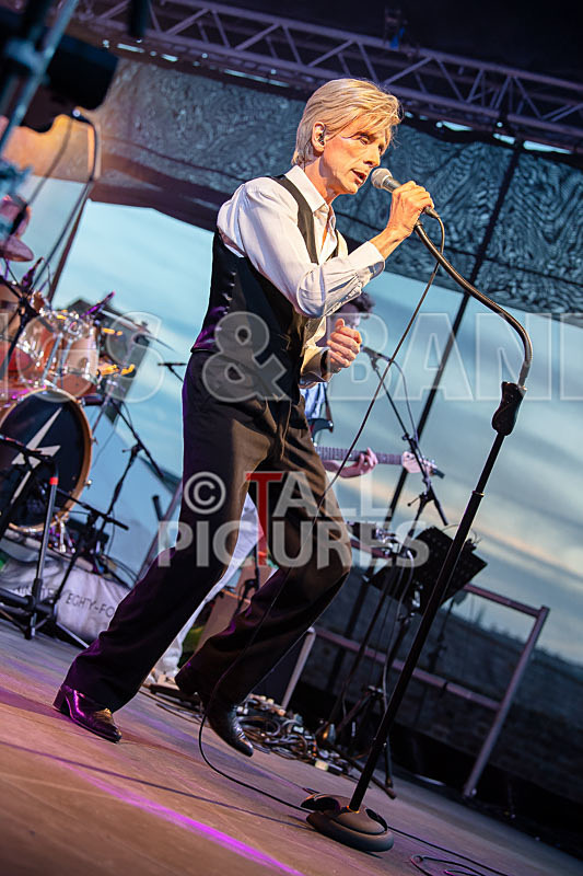 The Bowie Experience-50 - THE BOWIE EXPERIENCE