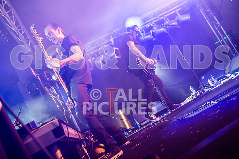 The Electric Shakes-105 - THE ELECTRIC SHAKES