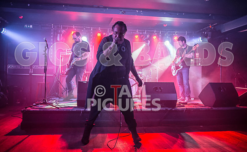 Gay Army-385 - GAY ARMY