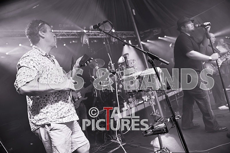 Spoonful-100 - SPOONFUL