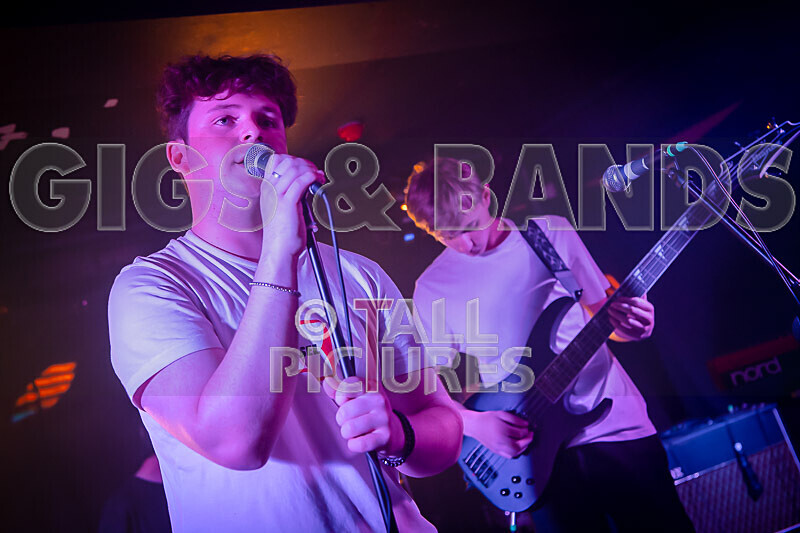 Black Dog-25 - BLACK DOG