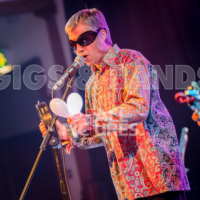 The Sacred Hearts-65 - THE SACRED HEARTS