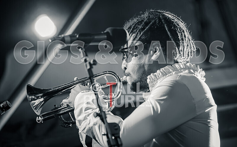 The Recks-971 - THE RECKS