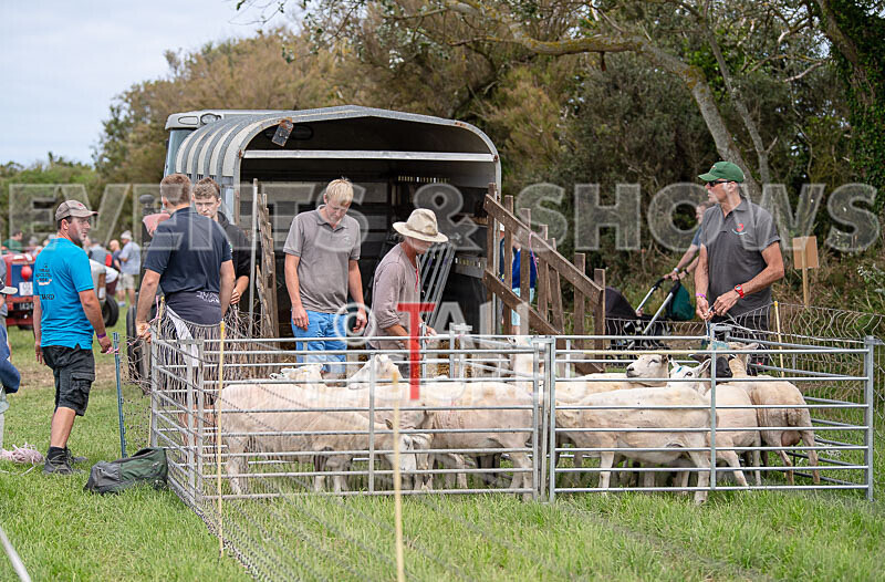 Guernsey Agricultural Show 2021-78 - GUERNSEY AGRICULTURAL SHOW 2021