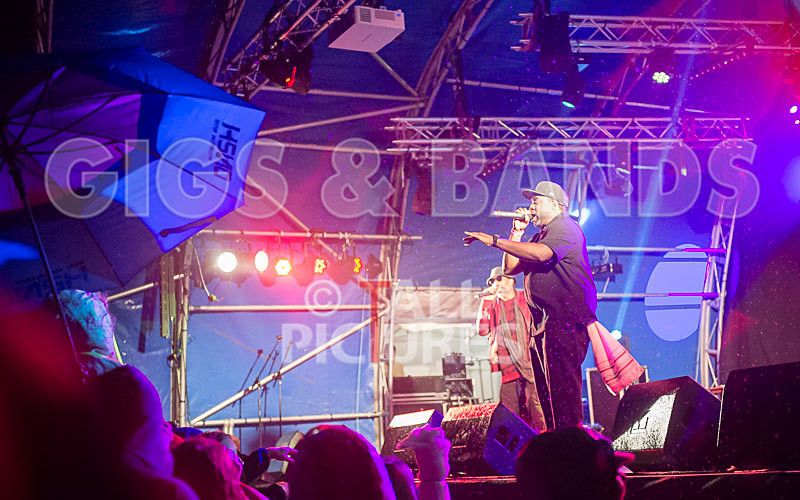 Vale Earth Fair 2015_Atmosphere-40 - VALE EARTH FAIR 2015_THE ATMOSPHERE