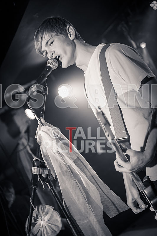 Cosmic Fish-20 - COSMIC FISH