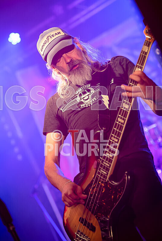 The Electric Shakes-229 - THE ELECTRIC SHAKES