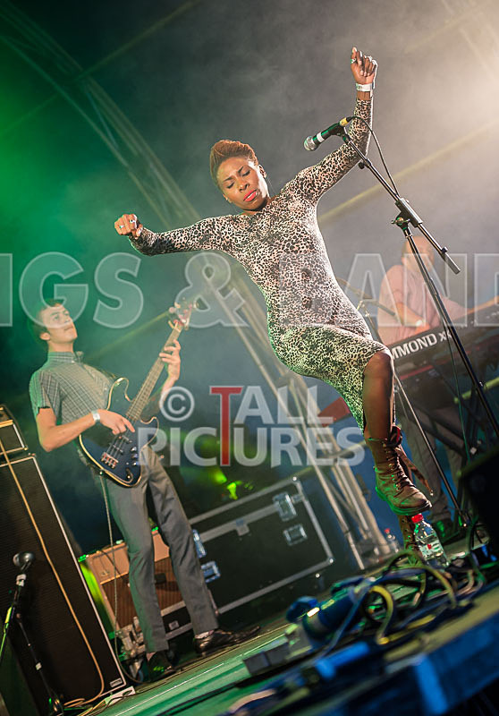 The Delegators-13 - THE DELEGATORS