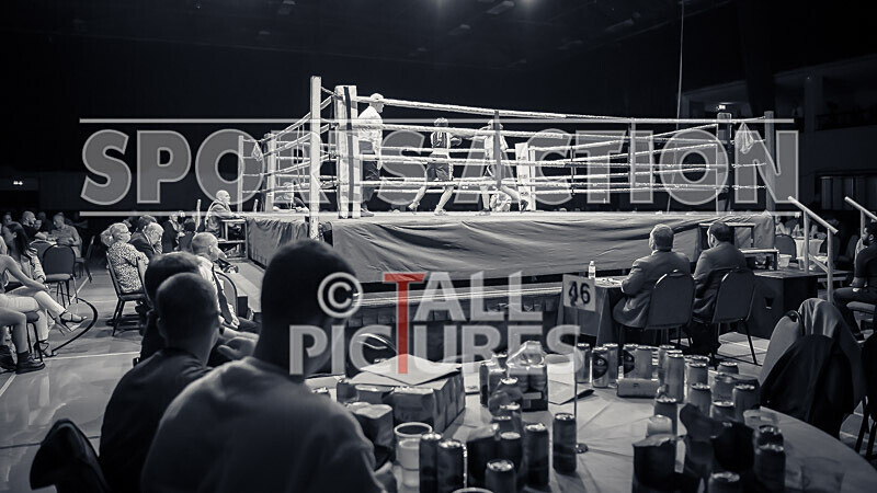 BOUT 6- Emma Martin v Stephanie Adlington-48 - BOUT 6: Emma Martin v Stephanie Adlington