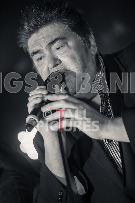 Alfie Bartons 25th Anniversary Gig-66 - ALFIE BARTON'S 25th ANNIVERSARY SPECIAL