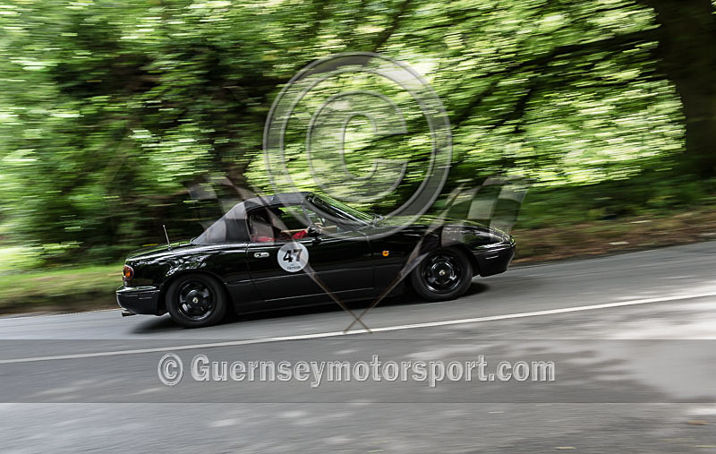 Heritage Charity Hillclimb_2014-189 - HERITAGE CHARITY HILL CLIMB 2014