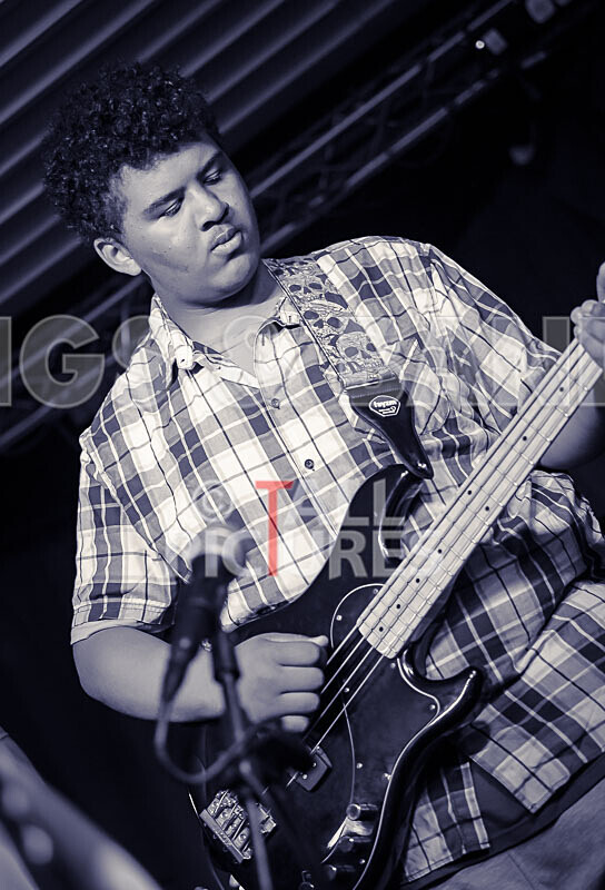 Motionless-73 - MOTIONLESS