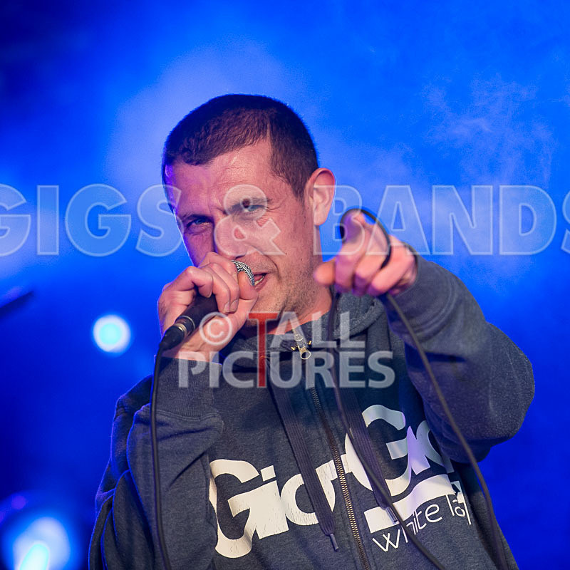 Buffalo Huddleston-319 - BUFFALO HUDDLESTON