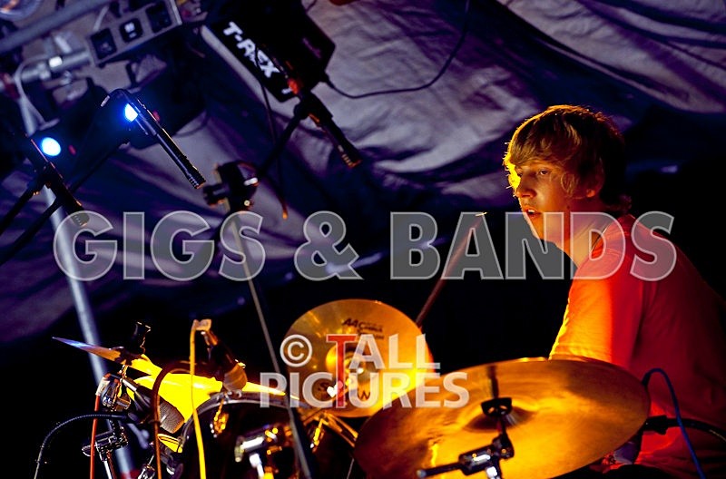 Wild Card-6 - HOGWASH 2009 - BANDS