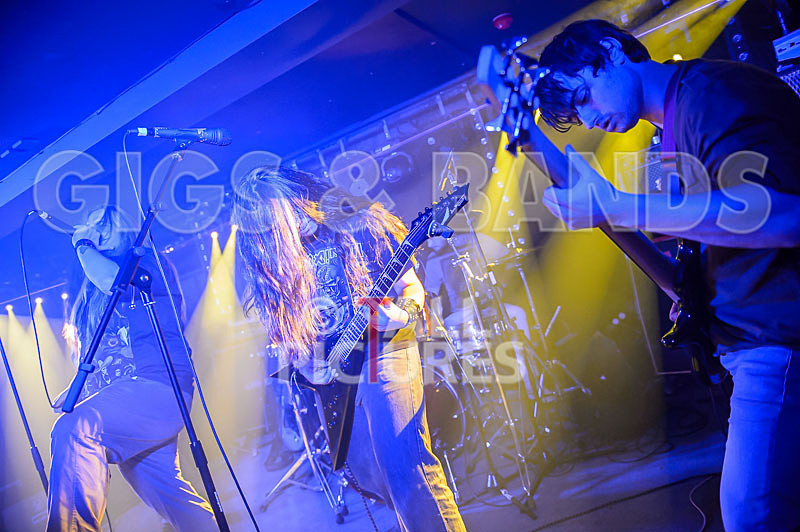 Stone Em All-222 - STONE EM ALL