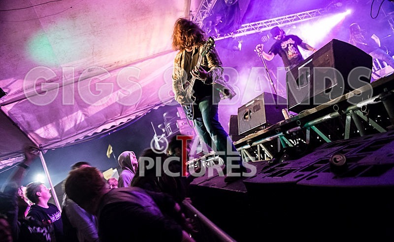 Viking Skull-35 - VIKING SKULL