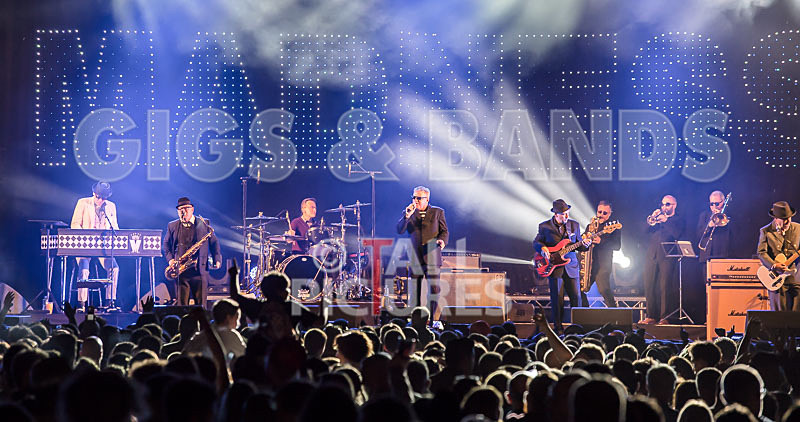 Madness-60 - MADNESS