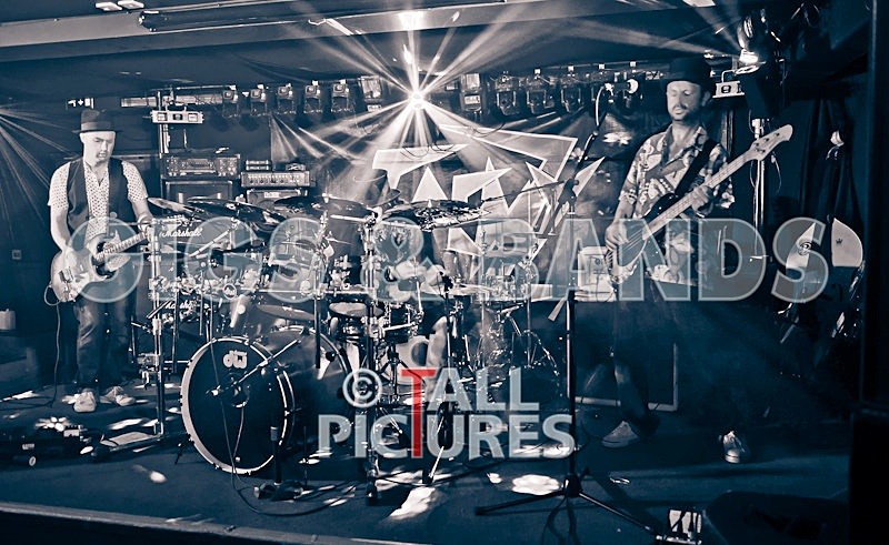 Peppered Ant Legs-122 - PEPPERED ANT LEGS