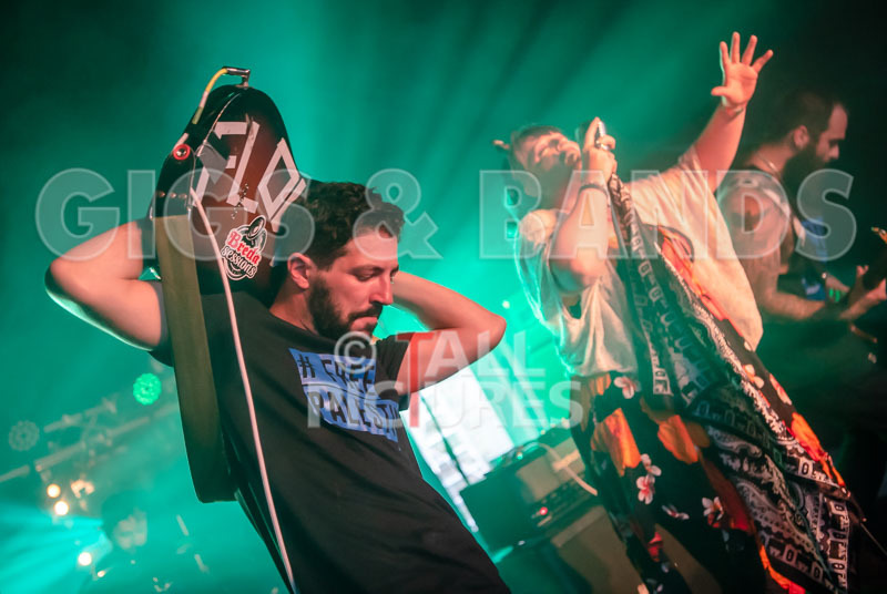 Static Alice-722 - STATIC ALICE