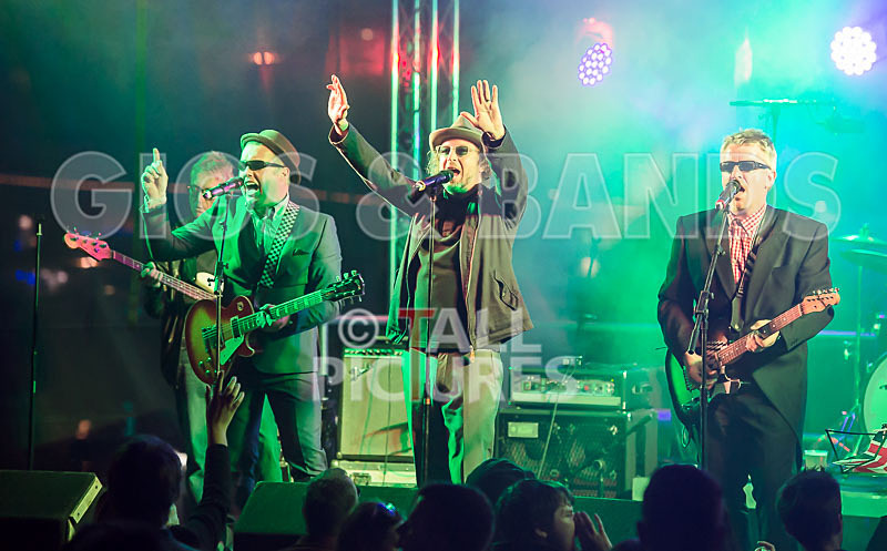 Sons of the Desert-275 - SONS OF THE DESERT