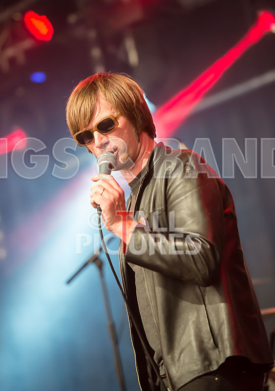 The Cryptics-85 - THE CRYPTICS