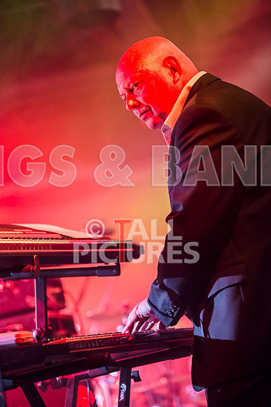 King Rat_30th Birthday Gig-78 - KING RAT AND THE SOUL CATS 30th BIRTHDAY