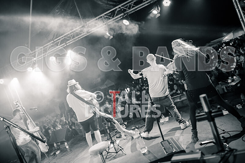 Buffalo Huddleston-681 - BUFFALO HUDDLESTON