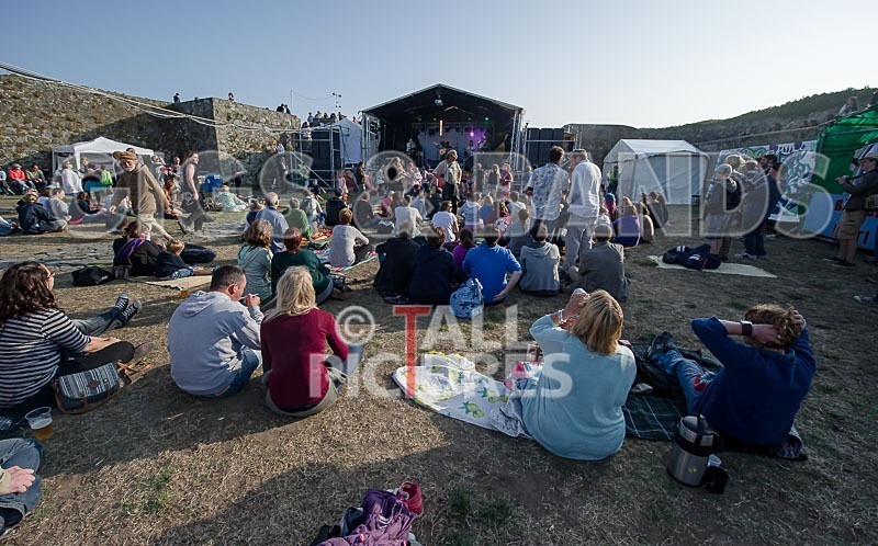 Vale Earth Fair_2013_Atmosphere-16 - VALE EARTH FAIR 2013_THE ATMOSPHERE