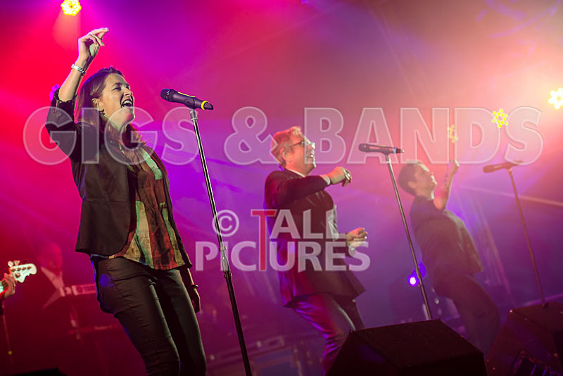 King Rat and the Soul Cats-228 - KING RAT AND THE SOUL CATS