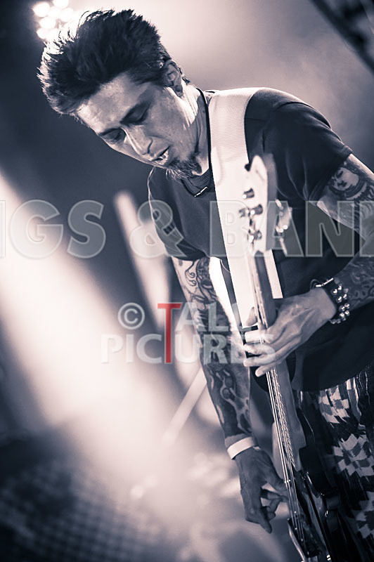 Morllyheads-26 - MORLLYHEADS