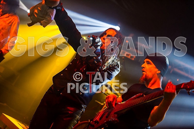 Gallus Cooper-30 - GALLUS COOPER