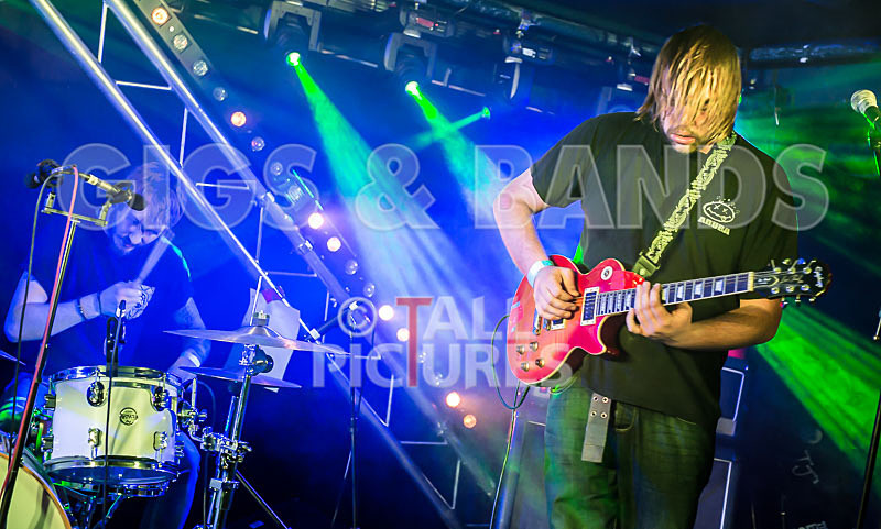 To the Woods-217 - TO THE WOODS