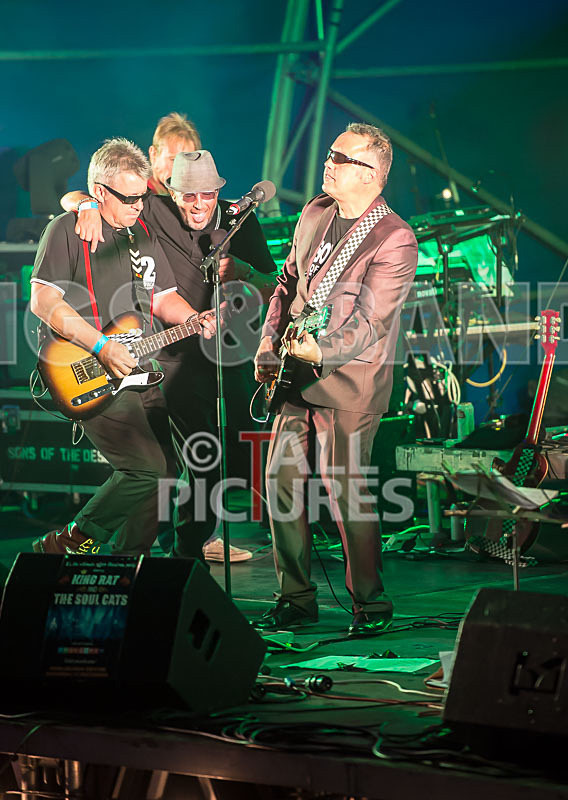 Sons of the Desert-310 - SONS OF THE DESERT