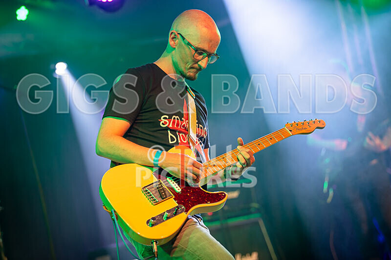 Foxy Stoat Seeks Pig-18 - FOXY STOAT SEEKS PIG