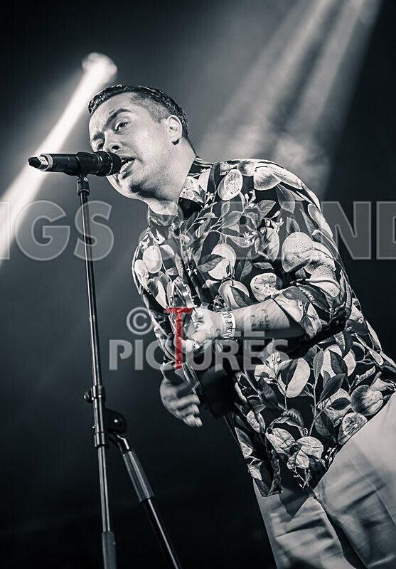 The King Blues-22 - THE KING BLUES