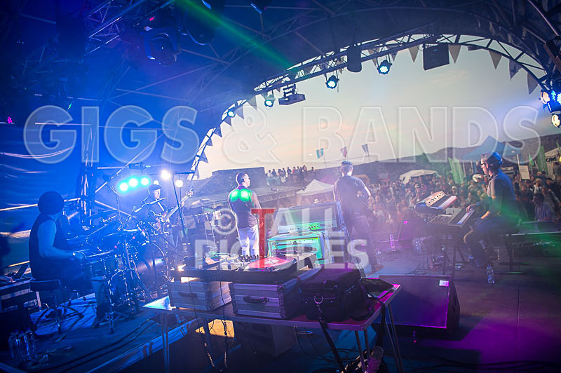 Vale Earth Fair 2017_PRESS EDIT-34 - VALE EARTH FAIR 2017_THE PRESS EDIT