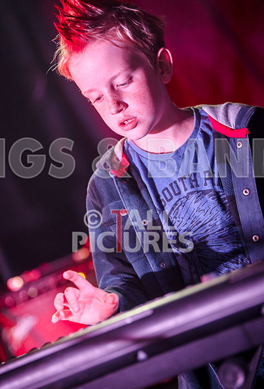 The Flaming Flamingos-16 - THE FLAMING FLAMINGOES