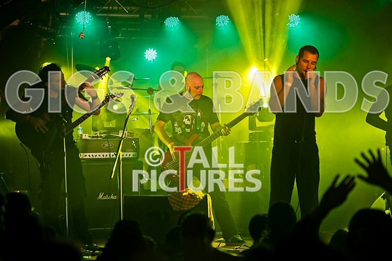 Breed77-22 - BREED77