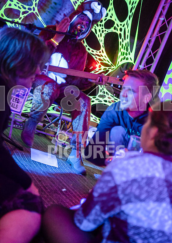 Greenman Chaos Festival 2018_The Scene-60 - GREENMAN CHAOS FESTIVAL 2018_THE SCENE