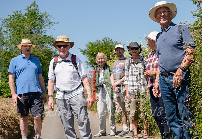 Living Streets walk_03-06-2018-3 - LIVING STREETS 2018
