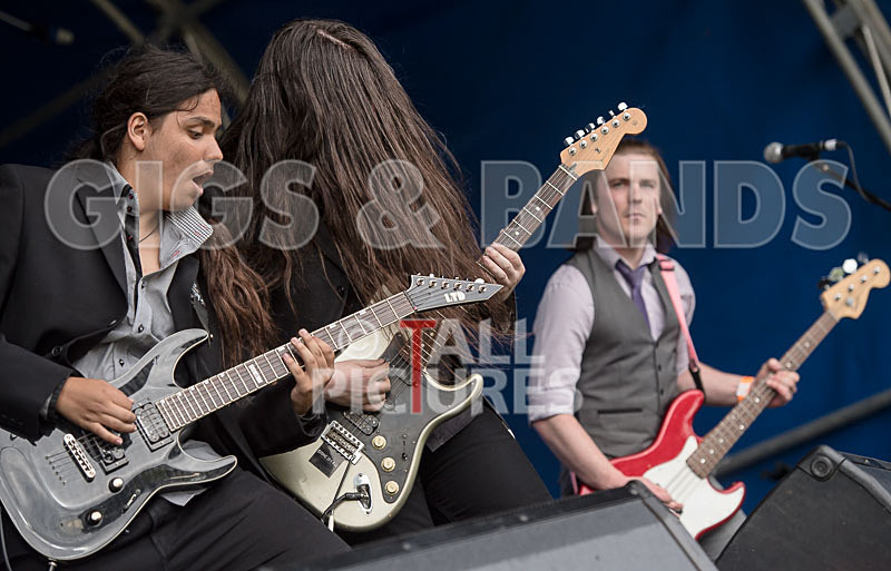 Stone Em All-299 - STONE EM ALL