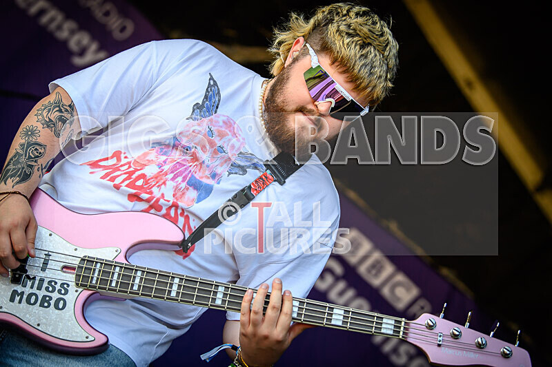 Bloomfield-43 - BLOOMFIELD